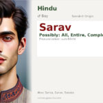 Sarav Name Meaning and Details