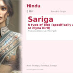 Sariga Name Meaning and Details