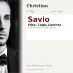 Savio Name Meaning and Details