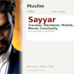 Sayyar Name Meaning and Details