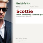 Scottie Name Meaning and Details