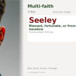 Seeley Name Meaning and Details