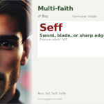 Seff Name Meaning and Details