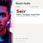 Seir Name Meaning and Details