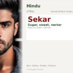 Sekar Name Meaning and Details