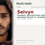 Selvyn Name Meaning and Details