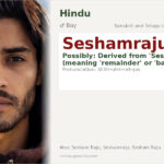 Seshamraju Name Meaning and Details
