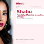 Shabu Name Meaning and Details