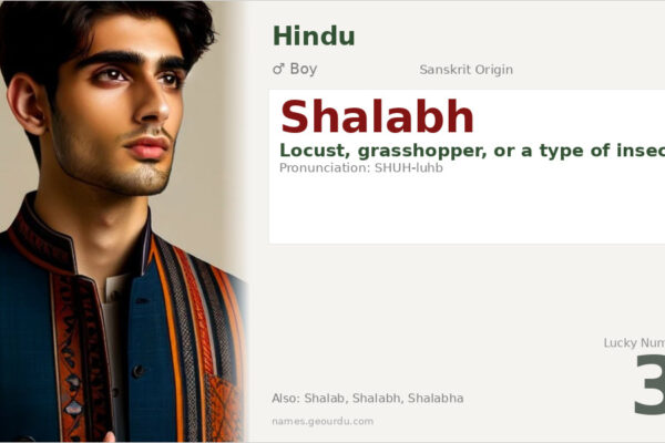Shalabh Name Meaning — Sanskrit Origin, Boy Name & Details (2025)