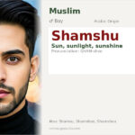 Shamshu Name Meaning and Details