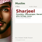 Sharjeel Name Meaning and Details