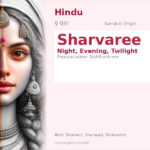 Sharvaree Name Meaning and Details