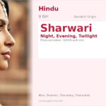 Sharwari Name Meaning and Details