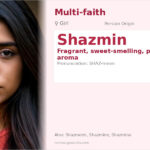 Shazmin Name Meaning and Details