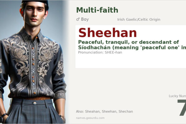 Sheehan Name Meaning — Irish Origin, Boy Name & Details (2025)