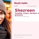 Shezreen Name Meaning and Details