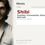 Shibi Name Meaning and Details