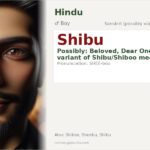 Shibu Name Meaning and Details