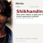 Shikhandin Name Meaning and Details