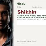 Shikhin Name Meaning and Details