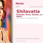 Shilavatia Name Meaning and Details