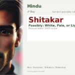 Shitakar Name Meaning and Details