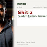 Shitiz Name Meaning and Details