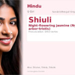 Shiuli Name Meaning and Details