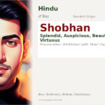 Shobhan Name Meaning and Details