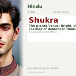 Shukra Name Meaning and Details