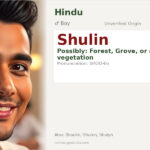 Shulin Name Meaning and Details