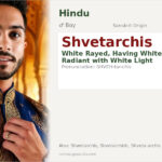 Shvetarchis Name Meaning and Details