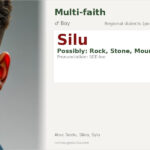 Silu Name Meaning and Details