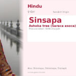 Sinsapa Name Meaning and Details