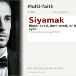 Siyamak Name Meaning and Details