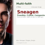 Sneagen Name Meaning and Details