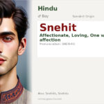 Snehit Name Meaning and Details