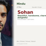 Sohan Name Meaning and Details