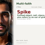 Spike Name Meaning and Details