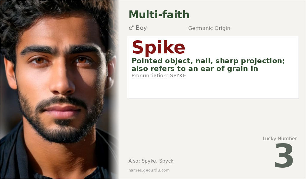 Spike Name Meaning and Details