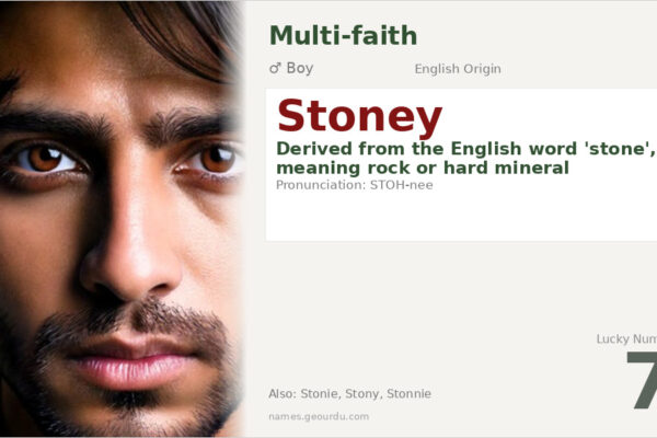 Stoney Name Meaning — English Origin, Boy’s Name & Details (2025)