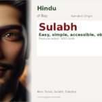 Sulabh Name Meaning and Details