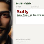 Sully Name Meaning and Details