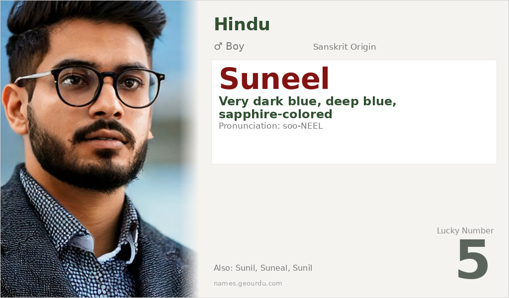 Suneel Name Meaning and Details