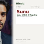 Sunu Name Meaning and Details