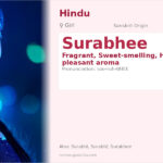 Surabhee Name Meaning and Details