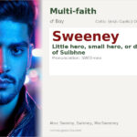 Sweeney Name Meaning and Details