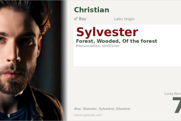 Sylvester Name Meaning — Latin Origin, Boy Name & History (2025)