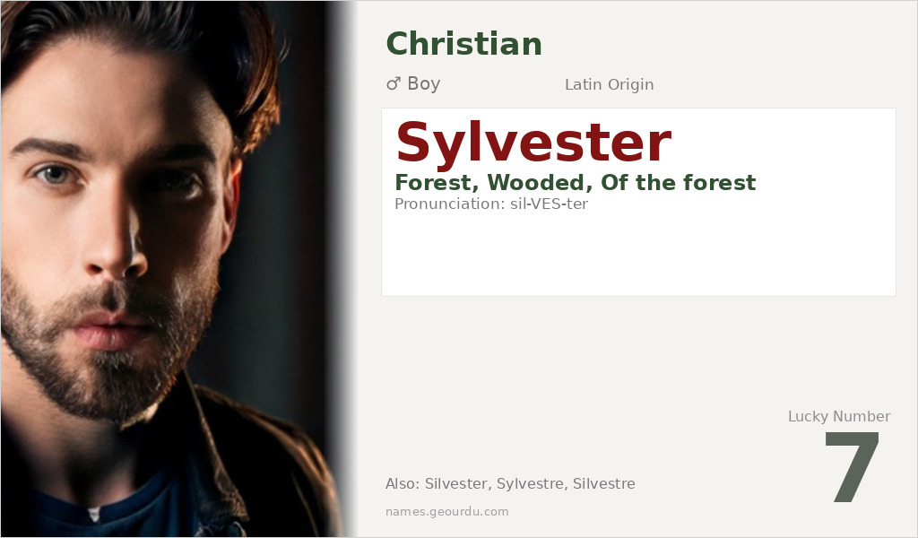 Sylvester Name Meaning and Details