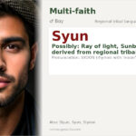 Syun Name Meaning and Details